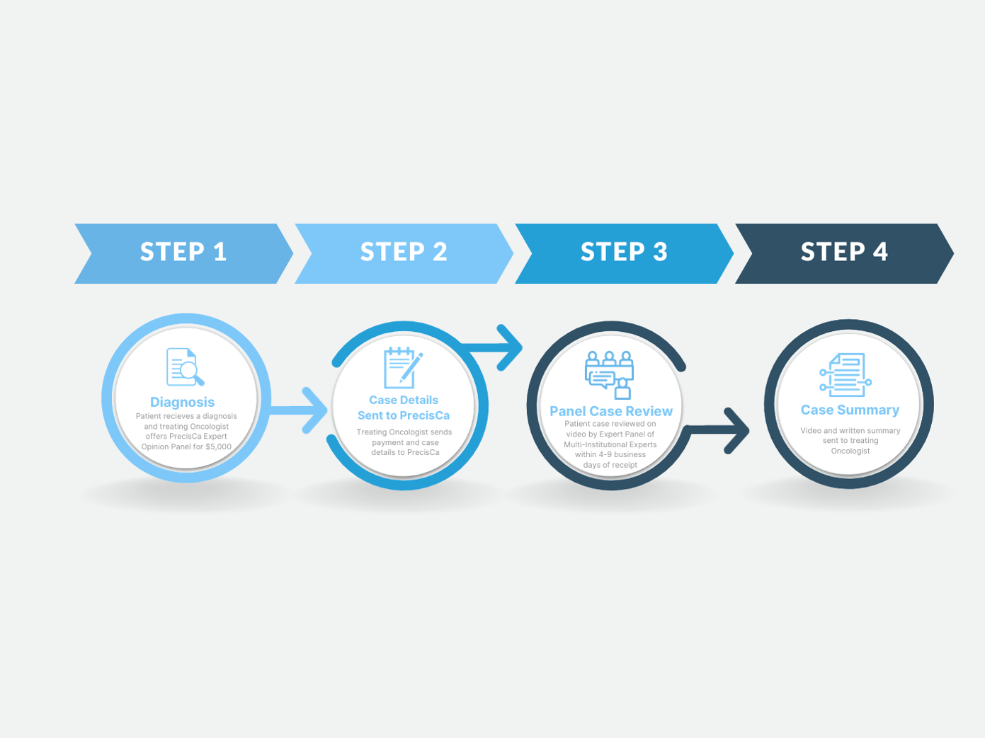 PRECISCA Case Submission Process